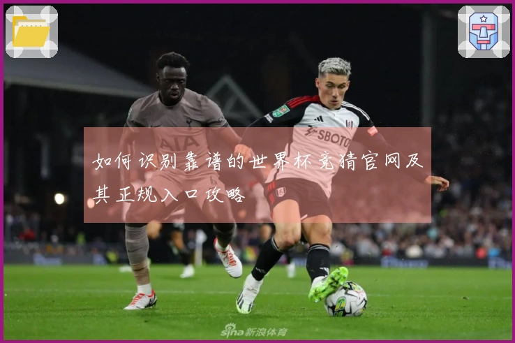 如何识别靠谱的世界杯竞猜官网及其正规入口攻略