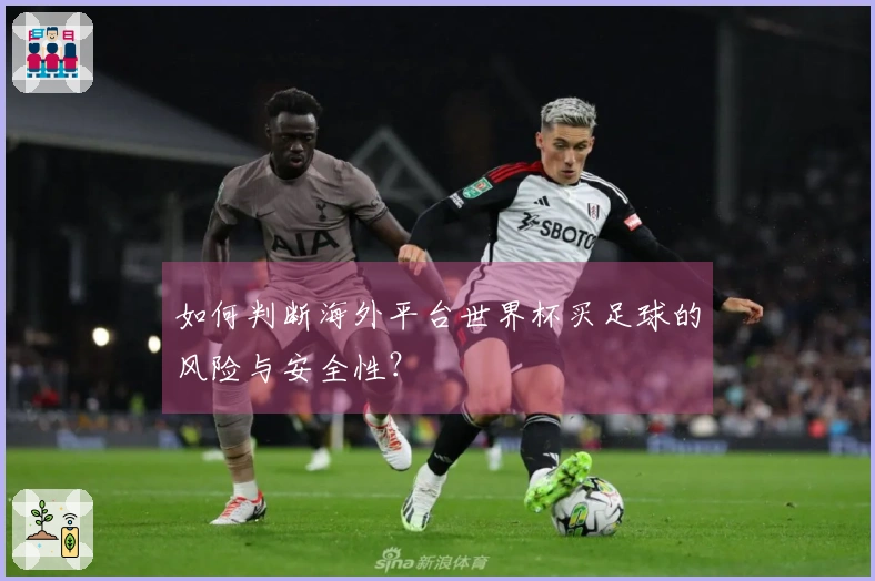 如何判断海外平台世界杯买足球的风险与安全性？