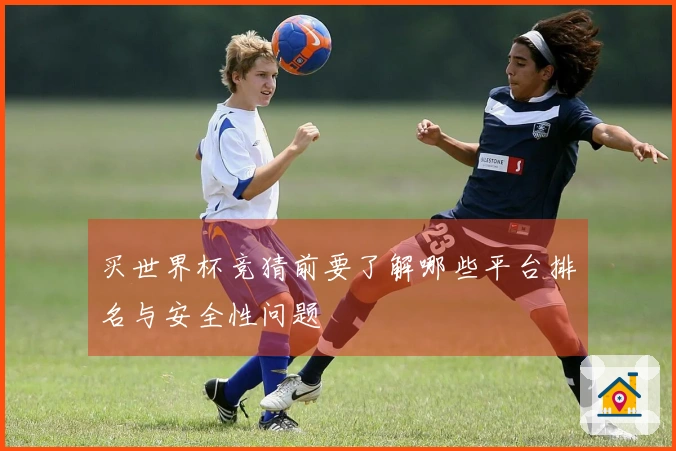 买世界杯竞猜前要了解哪些平台排名与安全性问题