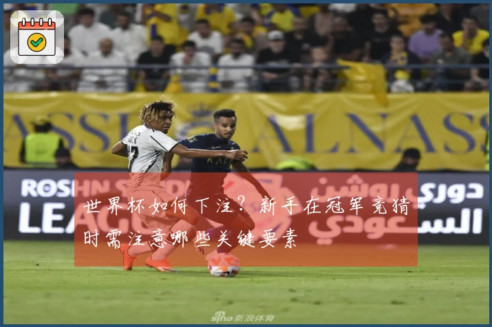 世界杯如何下注？新手在冠军竞猜时需注意哪些关键要素