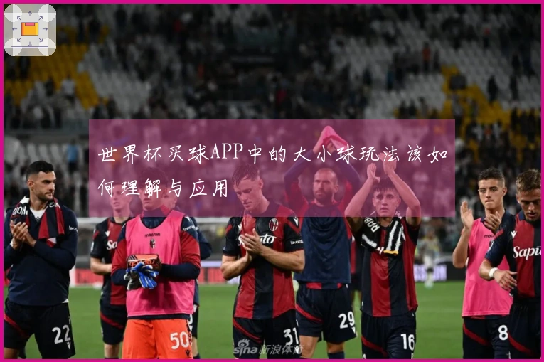 世界杯买球APP中的大小球玩法该如何理解与应用
