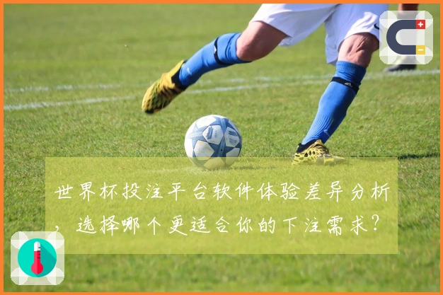 世界杯投注平台软件体验差异分析，选择哪个更适合你的下注需求？