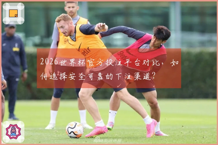 2026世界杯官方投注平台对比，如何选择安全可靠的下注渠道？