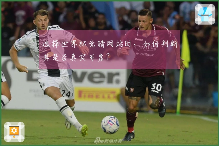 选择世界杯竞猜网站时，如何判断其是否真实可靠？