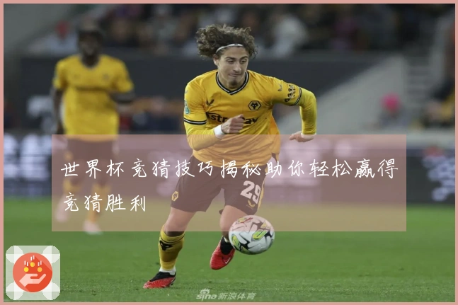 世界杯竞猜技巧揭秘助你轻松赢得竞猜胜利