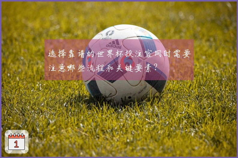 选择靠谱的世界杯投注官网时需要注意哪些流程和关键要素？