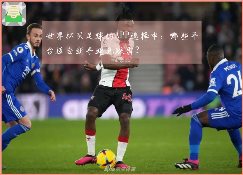 世界杯买足球的APP选择中，哪些平台适合新手避免踩雷？