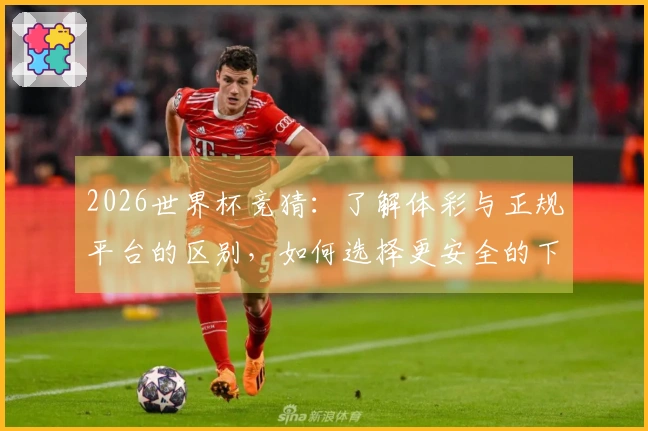 2026世界杯竞猜：了解体彩与正规平台的区别，如何选择更安全的下注方式
