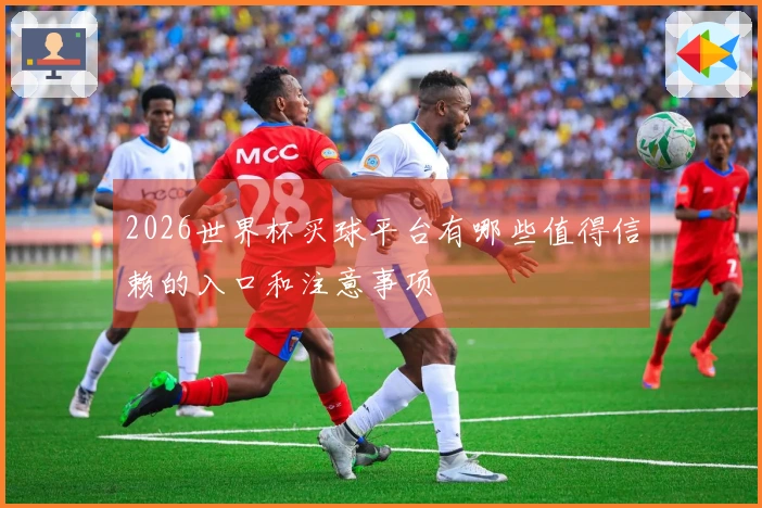 2026世界杯买球平台有哪些值得信赖的入口和注意事项