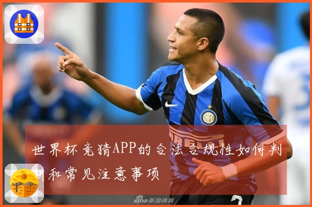 世界杯竞猜APP的合法合规性如何判断和常见注意事项