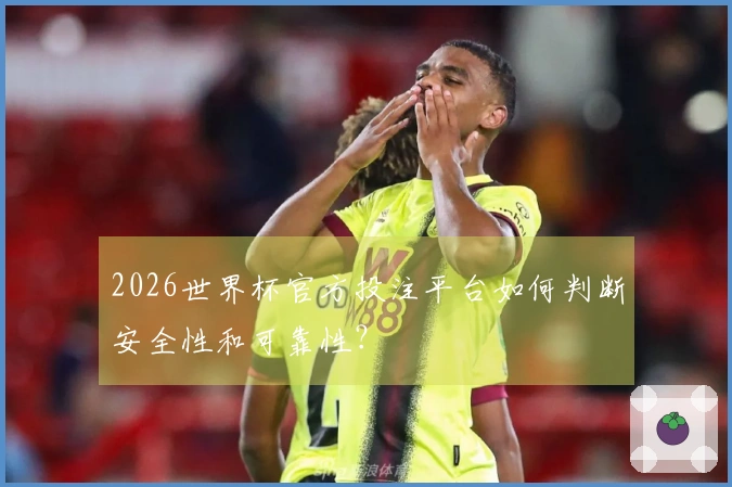 2026世界杯官方投注平台如何判断安全性和可靠性？