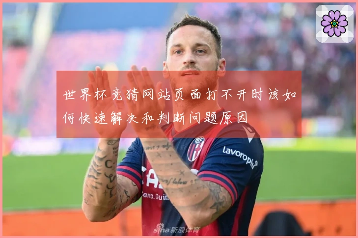 世界杯竞猜网站页面打不开时该如何快速解决和判断问题原因