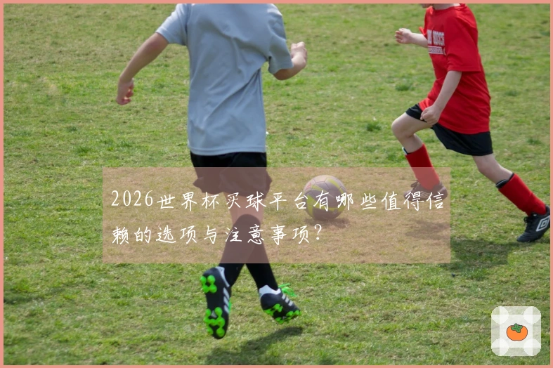 2026世界杯买球平台有哪些值得信赖的选项与注意事项？