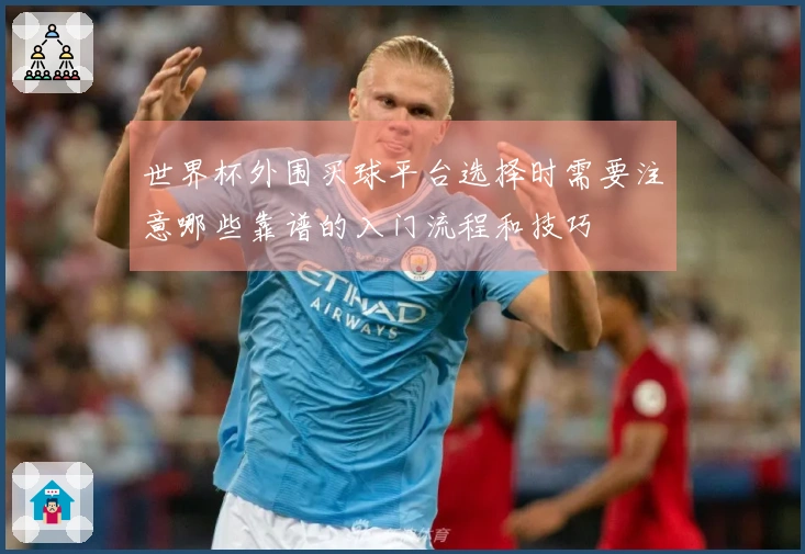 世界杯外围买球平台选择时需要注意哪些靠谱的入门流程和技巧