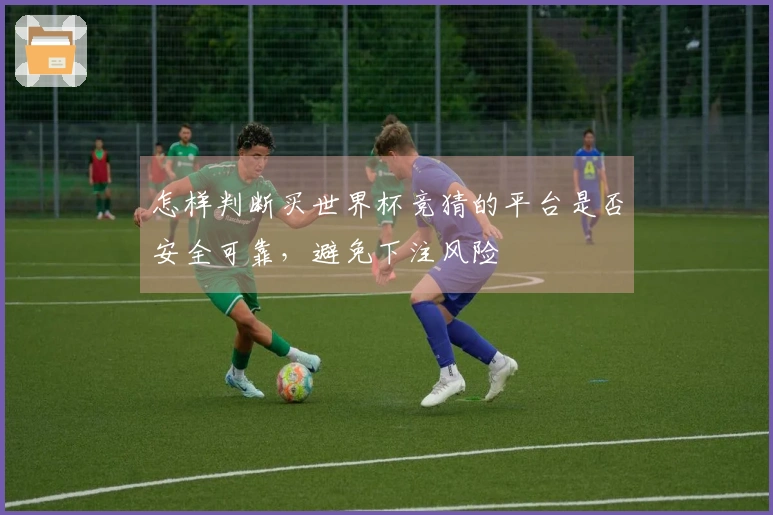 怎样判断买世界杯竞猜的平台是否安全可靠，避免下注风险