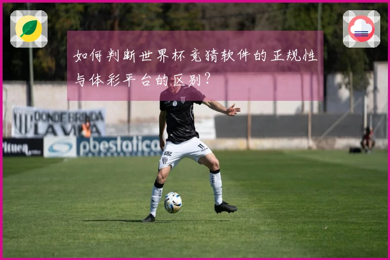 如何判断世界杯竞猜软件的正规性与体彩平台的区别？