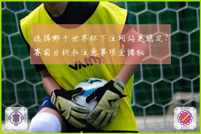 选择哪个世界杯下注网站更稳定？赛前分析和注意事项全揭秘