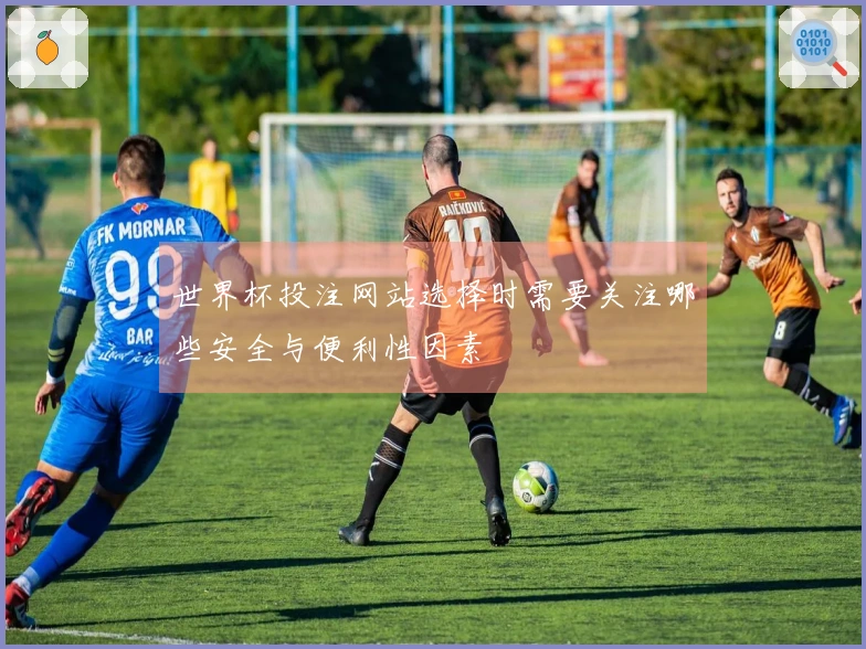 世界杯投注网站选择时需要关注哪些安全与便利性因素