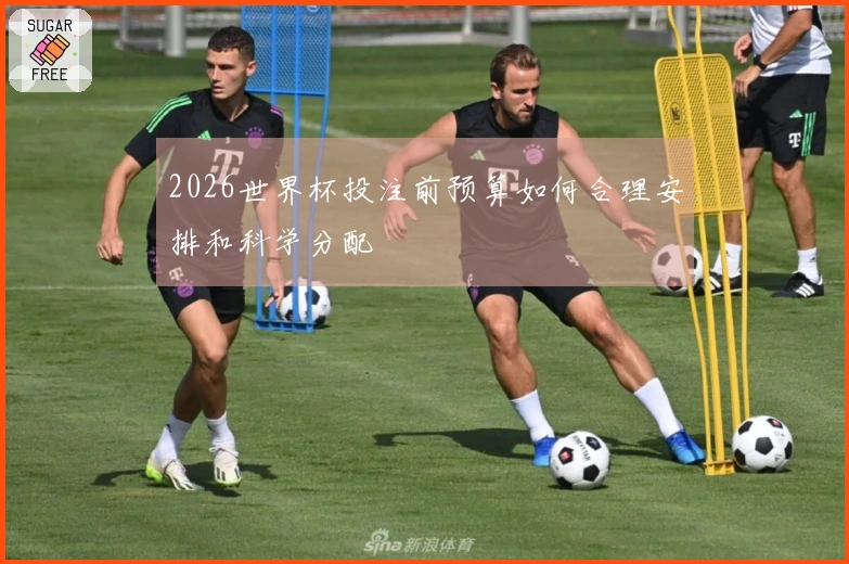 2026世界杯投注前预算如何合理安排和科学分配