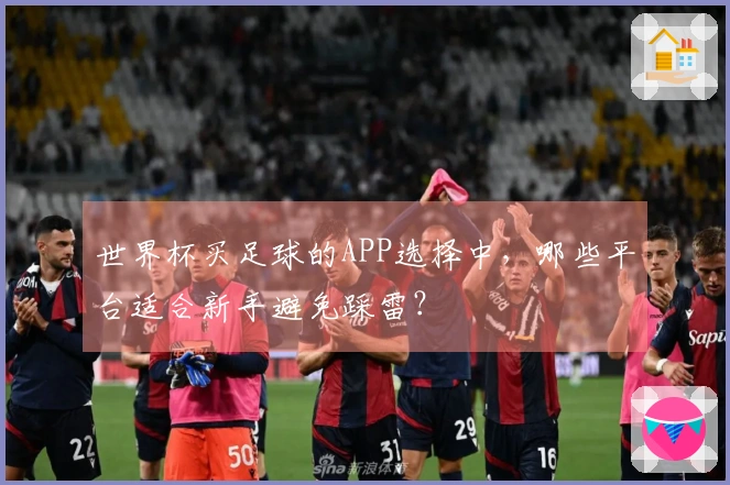 世界杯买足球的APP选择中，哪些平台适合新手避免踩雷？
