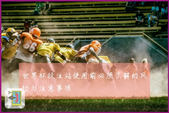 世界杯投注站使用前必须了解的风险与注意事项