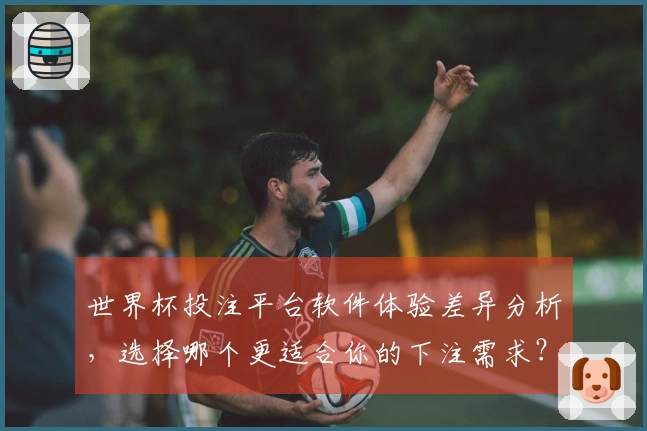 世界杯投注平台软件体验差异分析，选择哪个更适合你的下注需求？