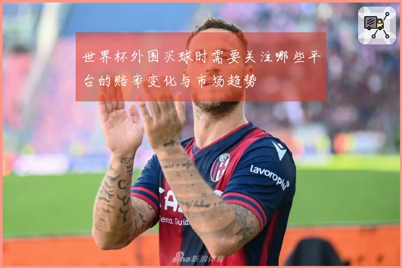 世界杯外围买球时需要关注哪些平台的赔率变化与市场趋势