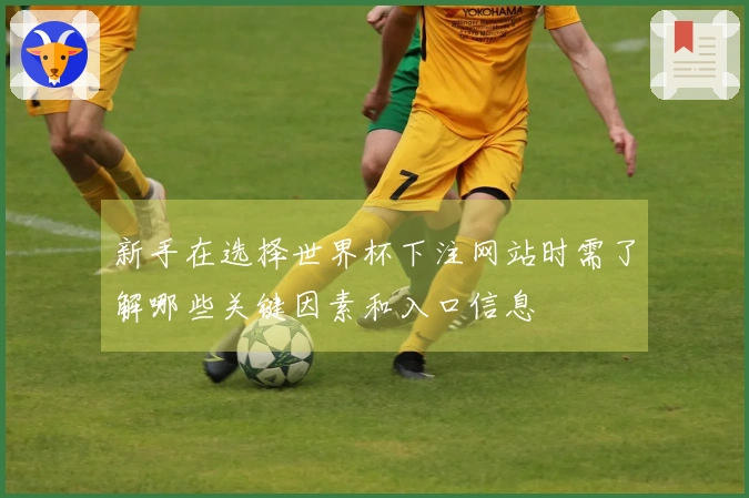 新手在选择世界杯下注网站时需了解哪些关键因素和入口信息