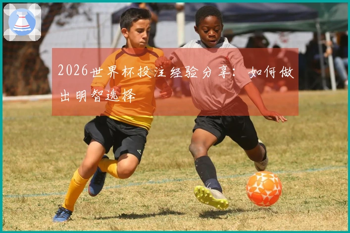2026世界杯投注经验分享：如何做出明智选择