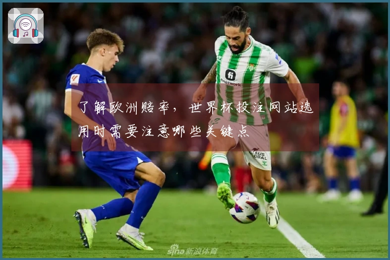 了解欧洲赔率，世界杯投注网站选用时需要注意哪些关键点