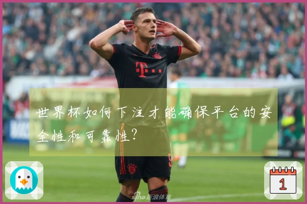 世界杯如何下注才能确保平台的安全性和可靠性？