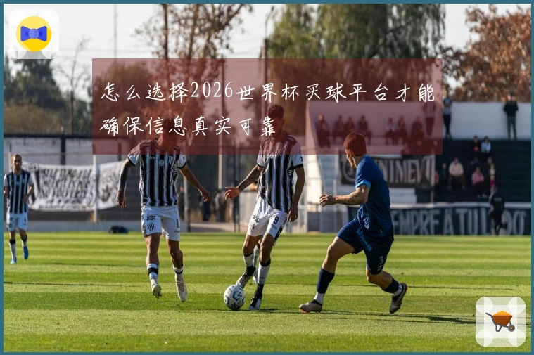 怎么选择2026世界杯买球平台才能确保信息真实可靠
