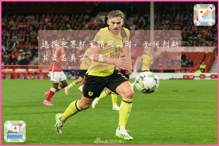 选择世界杯竞猜网站时，如何判断其是否真实可靠？